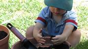 gal/gardening_granny/_thb_img_1759.jpg