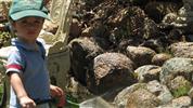 gal/gardening_granny/_thb_img_1764.jpg