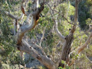 gal/honeymoon/_thb_honeymoon020.jpg