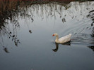 gal/honeymoon/_thb_honeymoon024.jpg