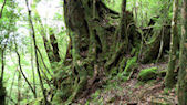 gal/japan/_thb_japan037.jpg
