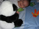 gal/sam02/_thb_sam02-12.jpg