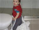 gal/stillhelping/_thb_img_3825.jpg